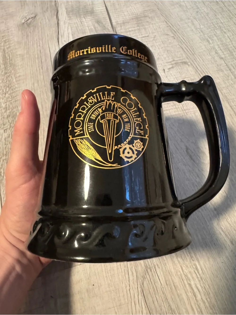 Vtg 90’s SUNY Morrisville Ceramic Large Beer Stein Set College Mugs USA RARE!